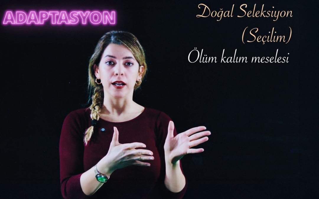 DNA ve Genetik Kod Ünitesi Adaptasyon Varyasyon Doğal Seçilim Kod Konusu 8'inci Sınıf Fen Bilgisi deryahoca.com X ışınları