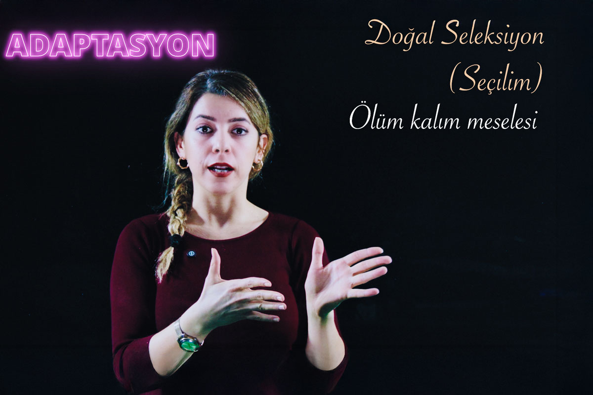 DNA ve Genetik Kod Ünitesi Adaptasyon Varyasyon Doğal Seçilim Kod Konusu 8'inci Sınıf Fen Bilgisi deryahoca.com X ışınları