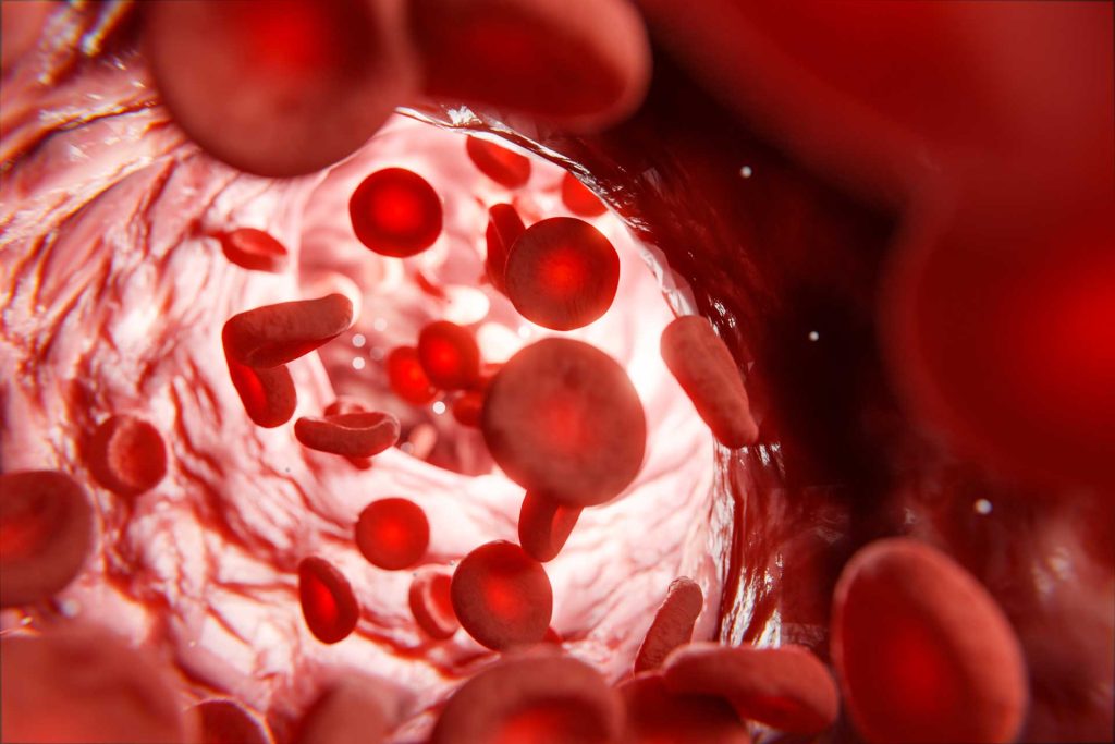 DNA ve Genetik Kod Ünitesi Mutasyon Modifikasyon Konusu 8'inci Sınıf Fen Bilgisi deryahoca.com Orak Hücreli Anemi