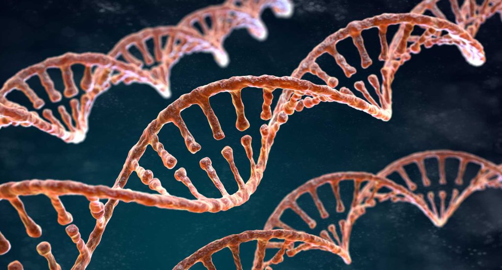 DNA ve Genetik Kod Ünitesi Mutasyon Modifikasyon Konusu 8'inci Sınıf Fen Bilgisi deryahoca.com