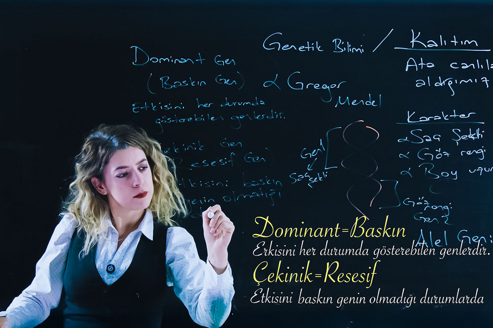 LightBoard Dersleri Derya Hoca İle 8. sınıf Fen Bilgisi Özel Ders Yüzyüze online ders