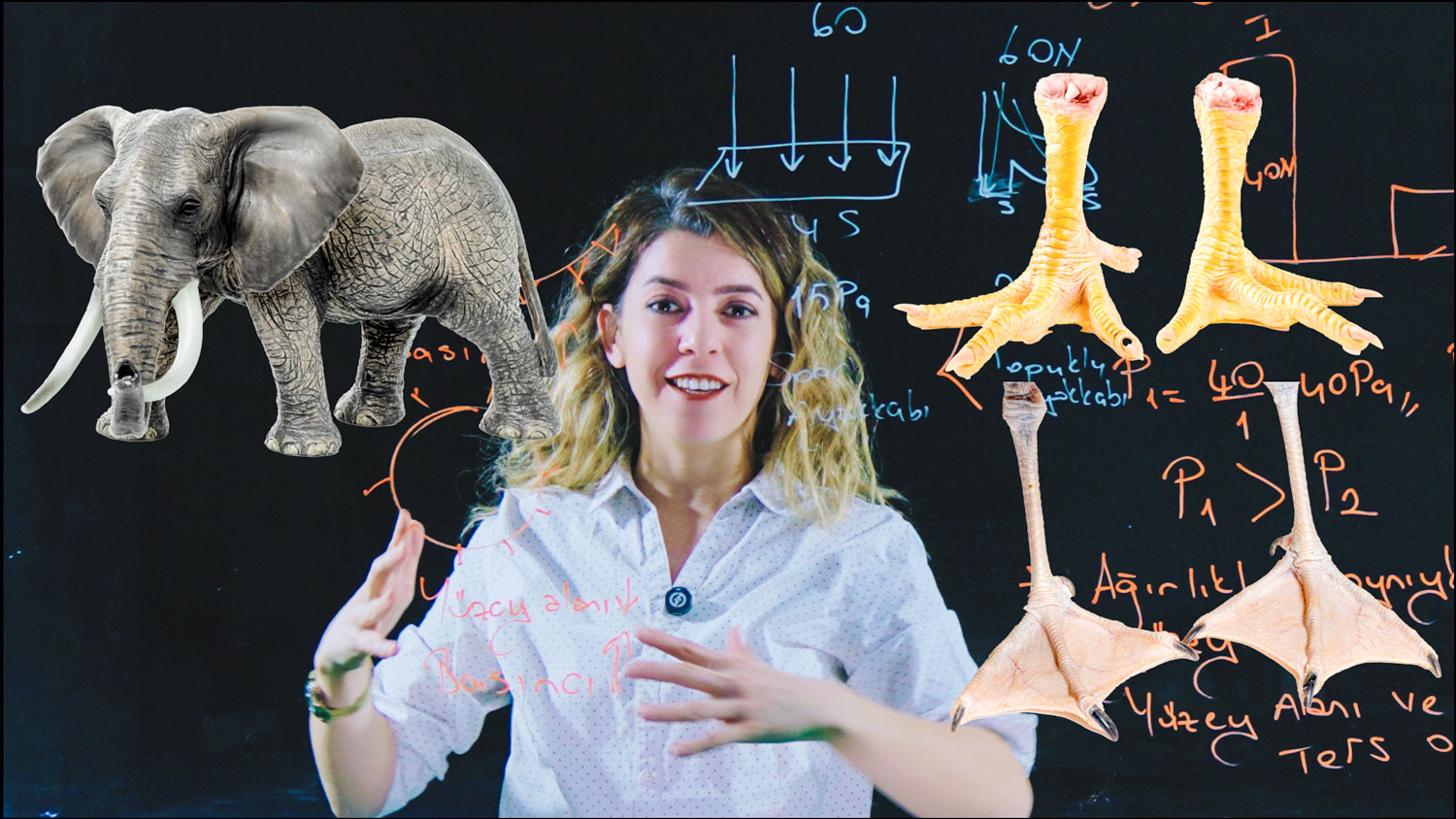 Basınç Ünitesi Katı Basıncı Konusu 8'inci Sınıf Fen Bilgisi deryahoca.com